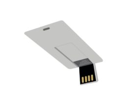 FLESH-MEMORY-STICK-USB