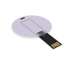 FLESH-MEMORY-STICK-USB1-1