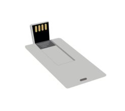 FLESH-MEMORY-STICK-USB1
