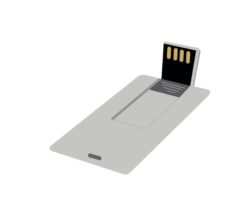 FLESH-MEMORY-STICK-USB2